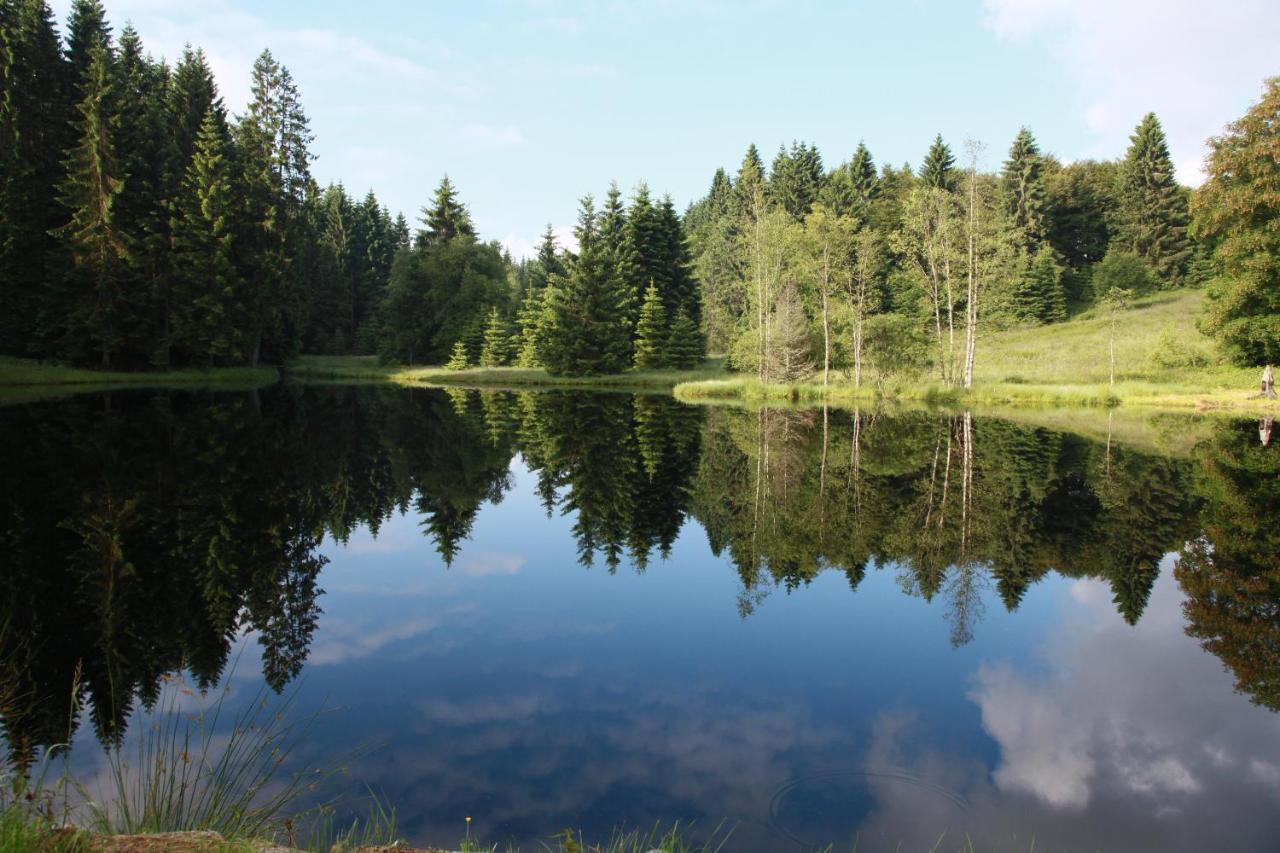Chalet Des Rochires Gérardmer Kültér fotó